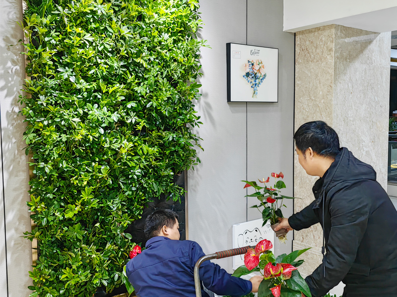 ����G���͑�(h��)����